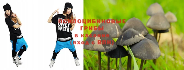 шишки Алексин