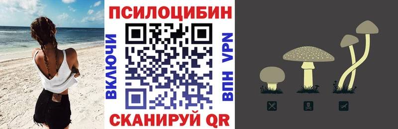 Галлюциногенные грибы Cubensis  цены   Ржев 