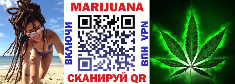 Каннабис SATIVA & INDICA  mega зеркало  Ржев  цены наркотик 